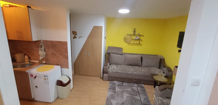 Vaja apartman – Vrnjačka Banja