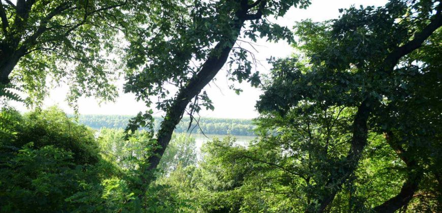 Kuca sa pogledom na Dunav i zemlja od 30ari