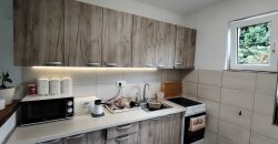 Kuća 194 m², 2 ara, Obrenovac, 180.000€ (NAMEŠTENA)