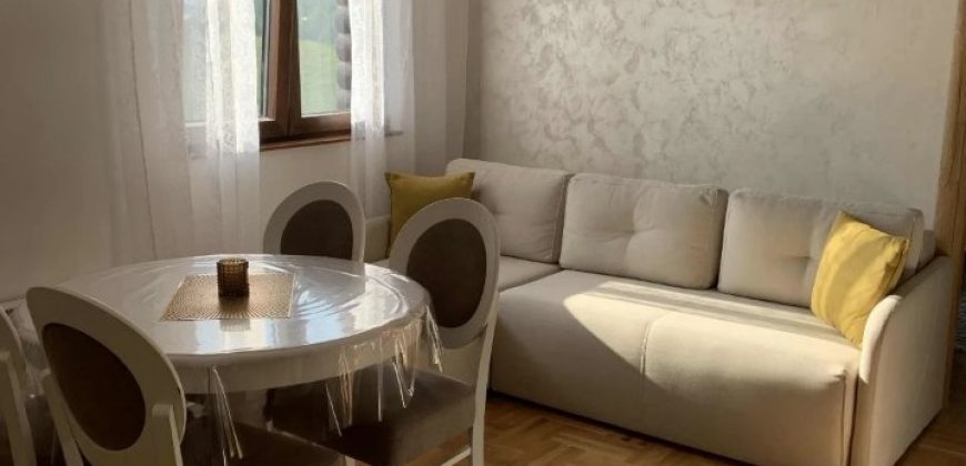 Prodajem apartman na Zlatiboru