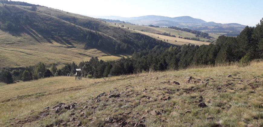 Plac Tometino polje-Divcibare