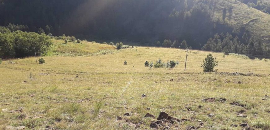 Plac Tometino polje-Divcibare