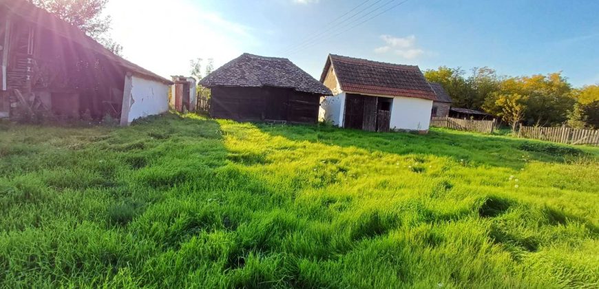 Seosko imanje sa 4 ha zemlje, Grabovac, Obrenovac, 80.000€