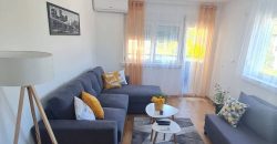 Apartmani Vrnjacka Banja: Apartman NATURA