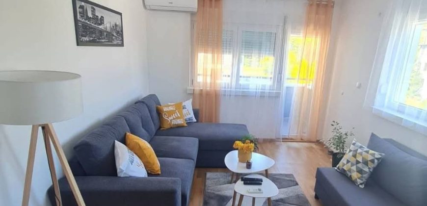 Apartmani Vrnjacka Banja: Apartman NATURA