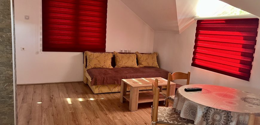 Apartman Sokobanja