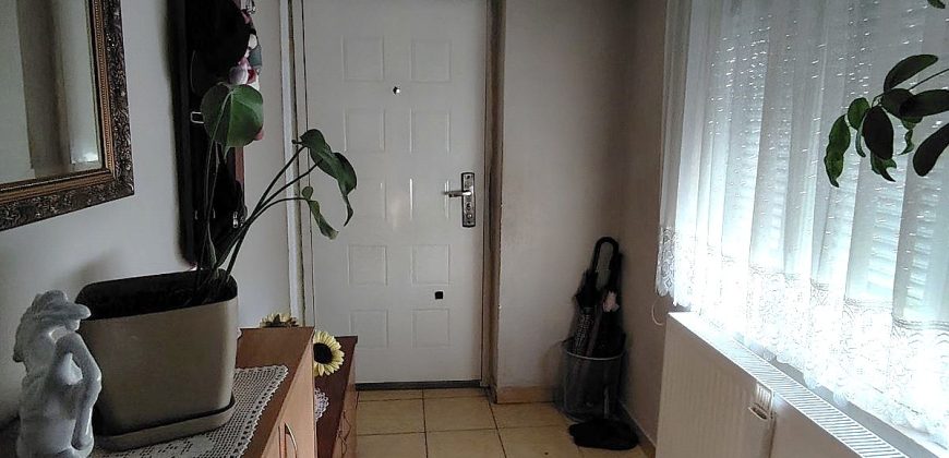 Kuće 53 m² i 44 m², 8 ari, Belo Polje, Obrenovac, 96.000€