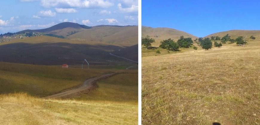 1.-Zlatibor-Alin-Potok-870×420