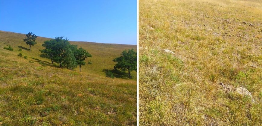 2.-Zlatibor-Alin-Potok-870×420