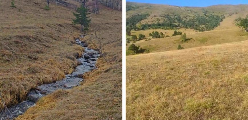 3.-Zlatibor-Alin-Potok-870×420