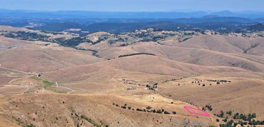 8.-ZLATIBOR-ZA-OGLAS-1-870×420