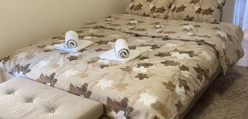 Apartman-DJalic-Vrnjacka-Banja-3-870×420
