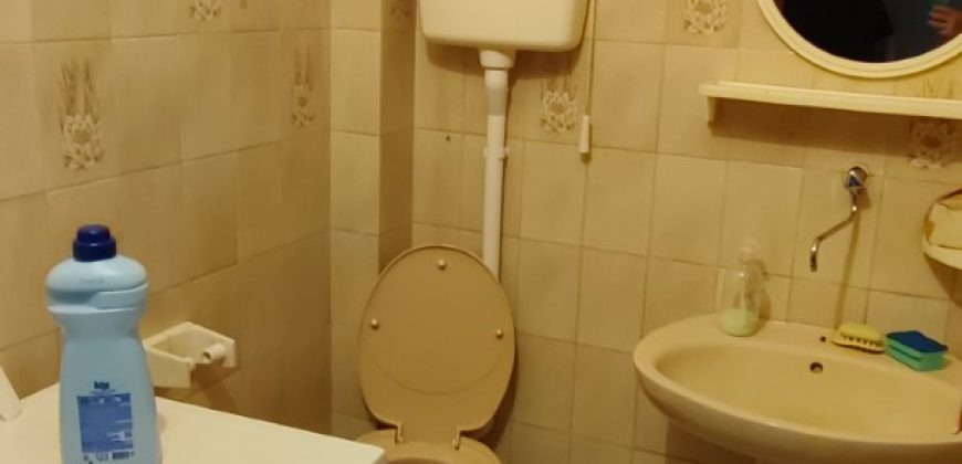 Izdavanje kuće Niš – Apelovac (9)