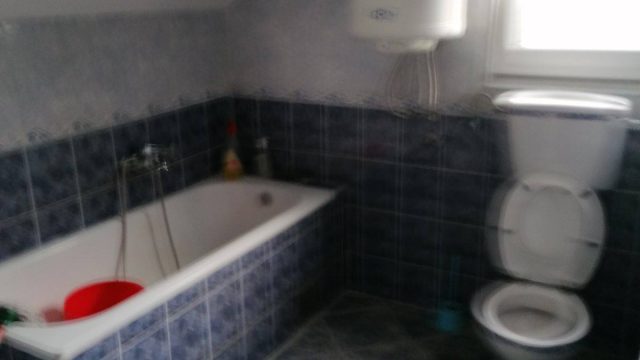 Izdavanje nameštenog jednosobnog stana u Borči-05