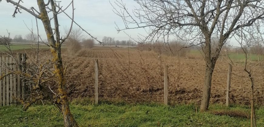 Na-prodaju-kuca-sa-velikim-placem-03-870×420