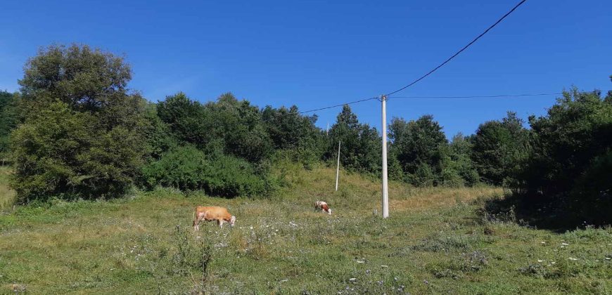 Prodaja poljoprovrednog zemljišta Lučani (2)