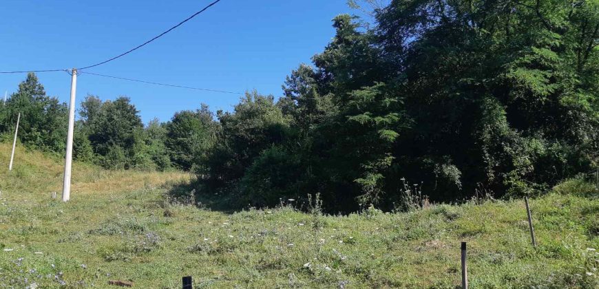 Prodaja poljoprovrednog zemljišta Lučani (3)