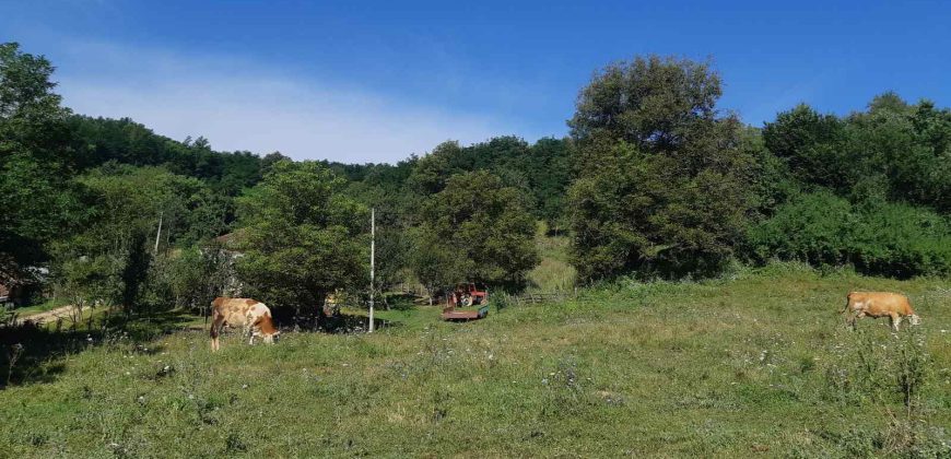 Prodaja poljoprovrednog zemljišta Lučani (4)