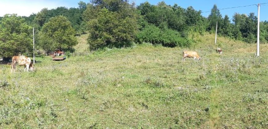 Prodaja poljoprovrednog zemljišta Lučani (5)