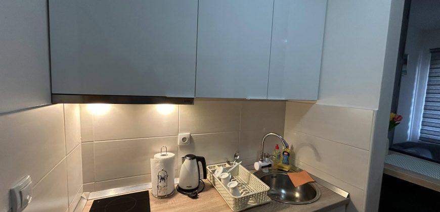 Zlatiborski-konaci-–-Studio-apartman-01-870×420
