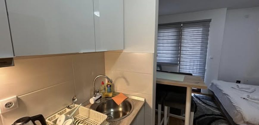 Zlatiborski-konaci-–-Studio-apartman-870×420