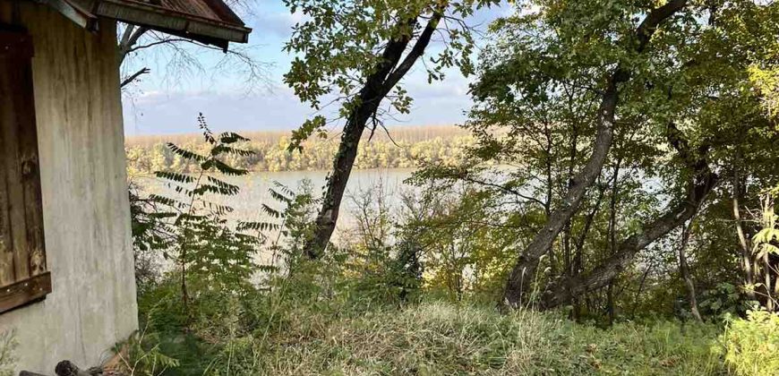vikendica na Dunavu (5)