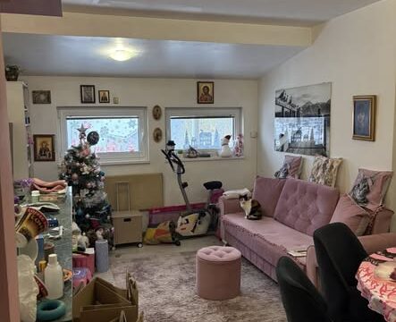 Hitno prodajem 1.5 stan 40 m² Zemun Meandri (2)