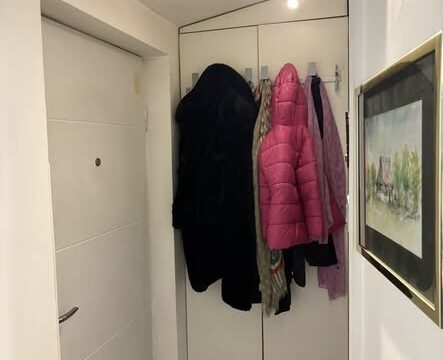 Hitno prodajem 1.5 stan 40 m² Zemun Meandri (3)