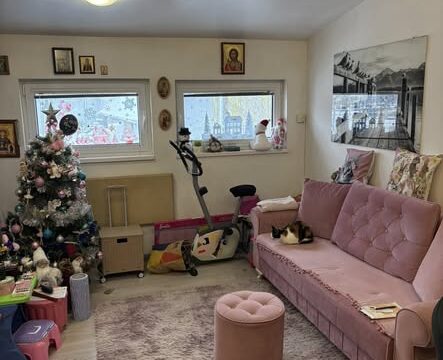 Hitno prodajem 1.5 stan 40 m² Zemun Meandri