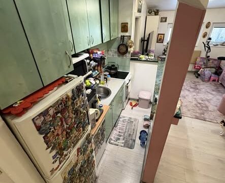 stan-na-prodaju-zemun-ugrinovacka-40m2-dvoriste-60m2 (2)