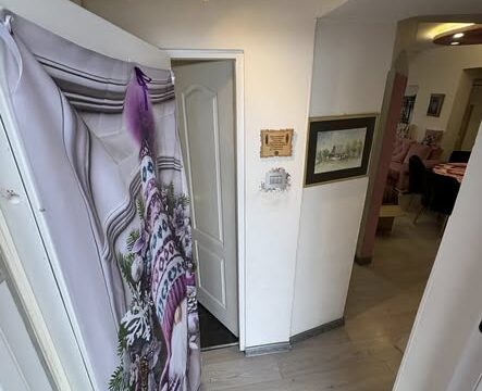 stan-na-prodaju-zemun-ugrinovacka-40m2-dvoriste-60m2