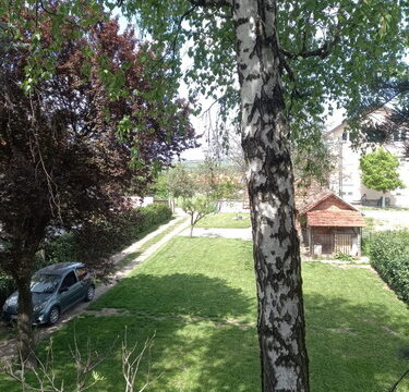 003-WhatsApp-Image-2025-04-25-at-12.06.39-manja