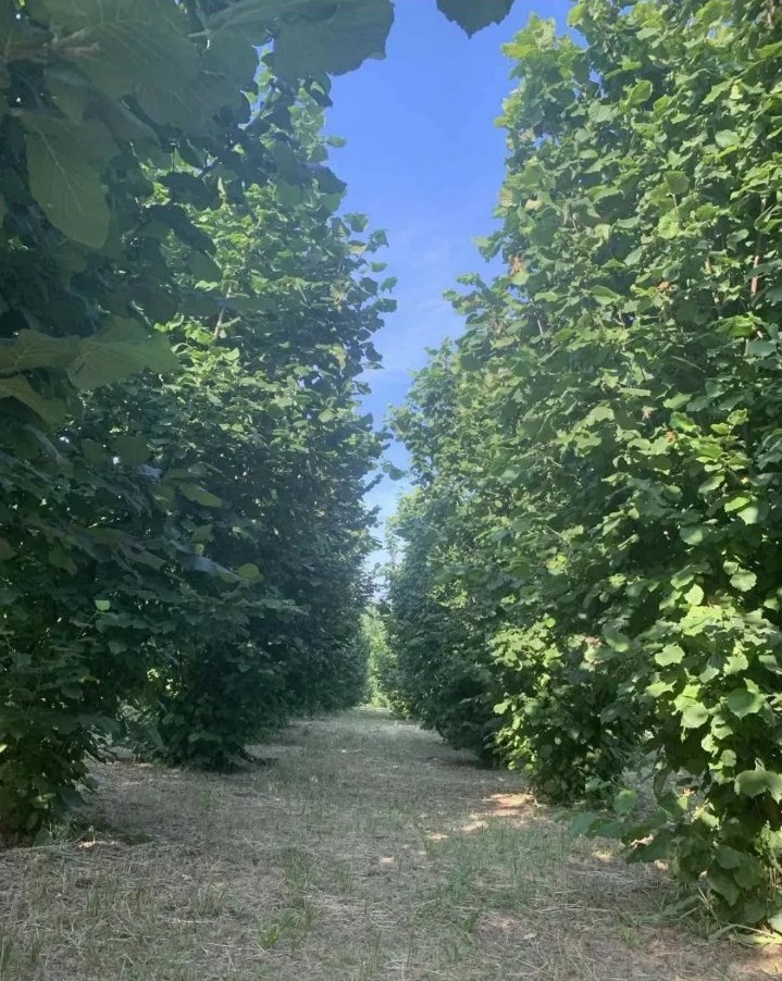 1-14