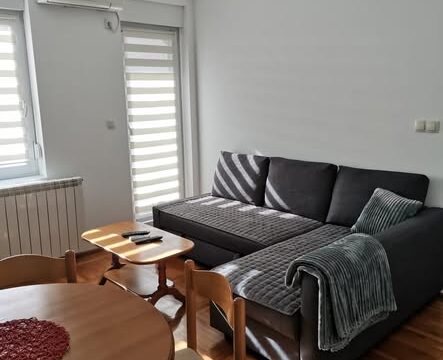 izdaje-se-jednoiposoban-stan-35m2-vidikovac