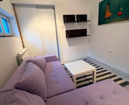 izdajem-stan-vozdovac-banjica-25m2-sa-troskovima-350e-02