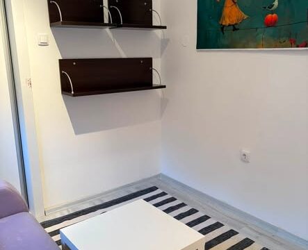 izdajem-stan-vozdovac-banjica-25m2-sa-troskovima-350e-03