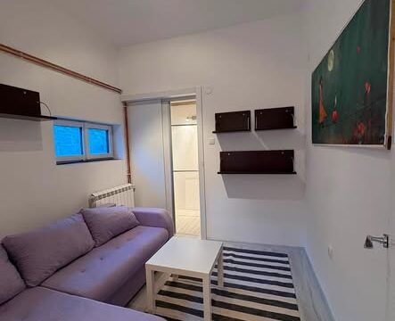 izdajem-stan-vozdovac-banjica-25m2-sa-troskovima-350e