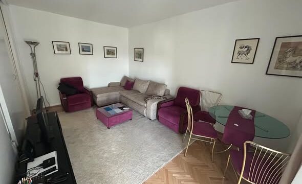 stan-za-izdavanje-vracar-grcica-milenka-46m2-beograd (4)