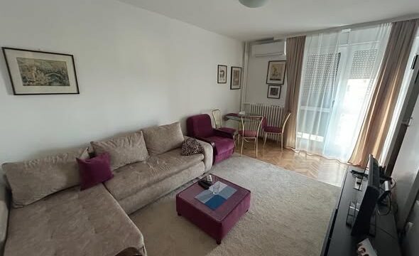 stan-za-izdavanje-vracar-grcica-milenka-46m2-beograd (5)