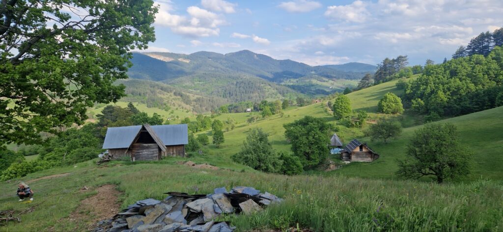 6-4